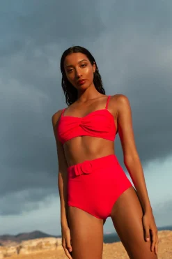 Halo Juniper High-Waisted Brief In Hot Pink
