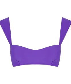 Halo Salinas Bikini Top In Indigo Purple