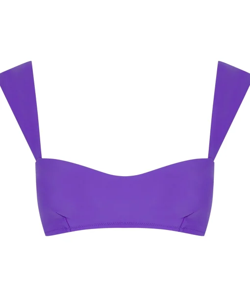 Halo Salinas Bikini Top In Indigo Purple